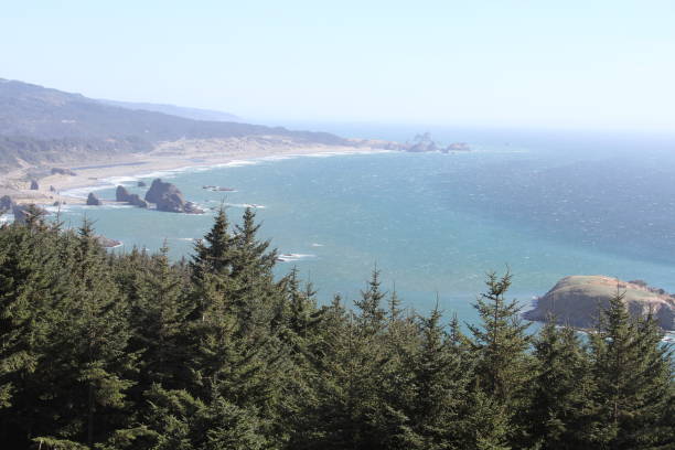 istock Coastline of oregon 800997950