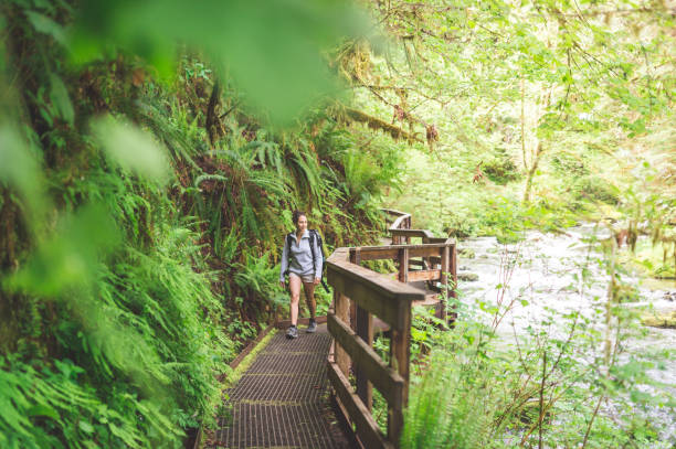 istock Ethnic woman hikes across footpath bridge next to river 800998278