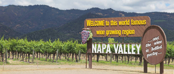 напа-валли добро пожаловать знак - napa valley vineyard sign welcome sign стоковые фото и изображения