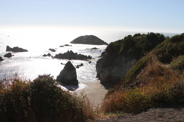 istock Coastline of oregon 801001004