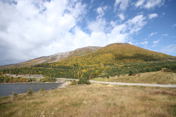 istock Gros Morne national park, Canada 801008460