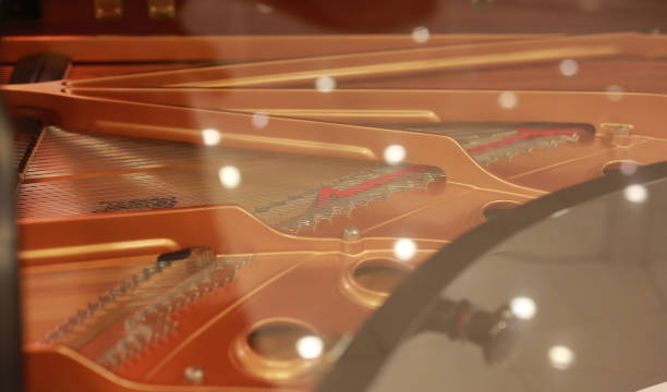 istock Grand Piano Strings with reflection of glass. Focus at center strings. 801008540