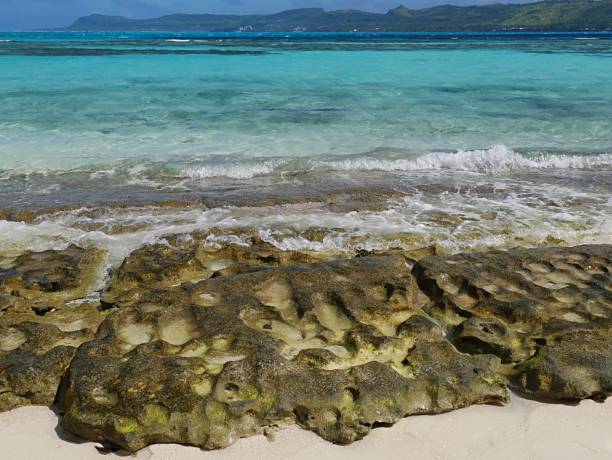 istock Rocks and corals at the beach 801011590