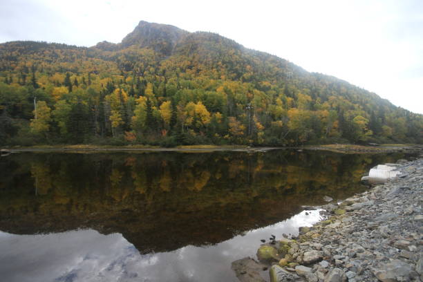 istock Gros Morne national park, Canada 801027104