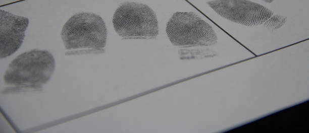 istock Fingerprints on paper are taken from the killer 801030718