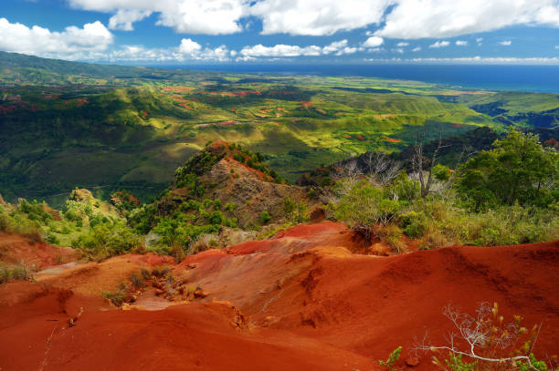 istock Stunning view into Waimea Canyon, Kauai, Hawaii 801033216