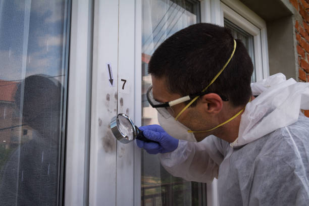 istock Forensic experts finds fingerprints on the window with the help of a magnifying glass 801035814