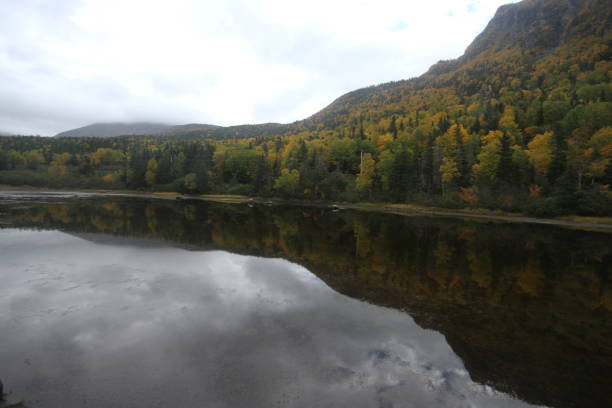 istock Gros Morne national park, Canada 801051524