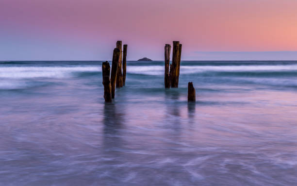 St Clair Beach A long exposure at St Clair beach in Dunedin, New Zealand at sunset. dunedin new zealand stock pictures, royalty-free photos & images