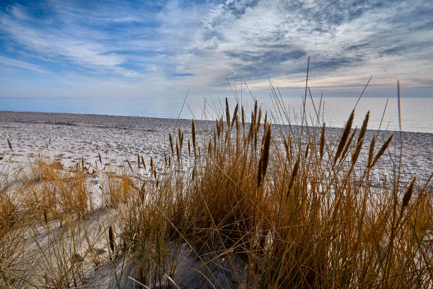 istock sea beach blue sky sand sun daylight relaxation landscape 801054366