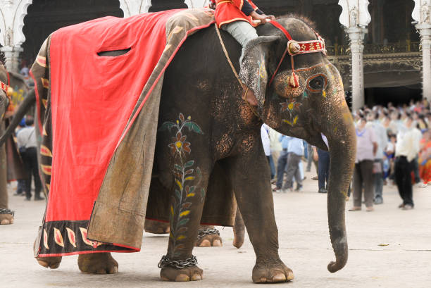 istock Dasara festival Mysore India 801069422