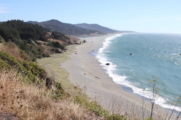istock Coastline of oregon 801071820