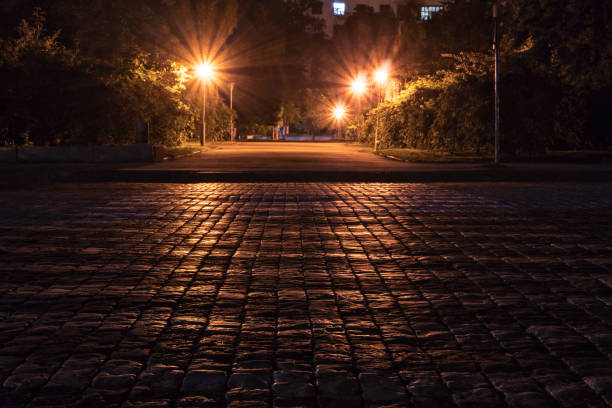 Glistening paving stone from the light of street lamps in the park. Night scene