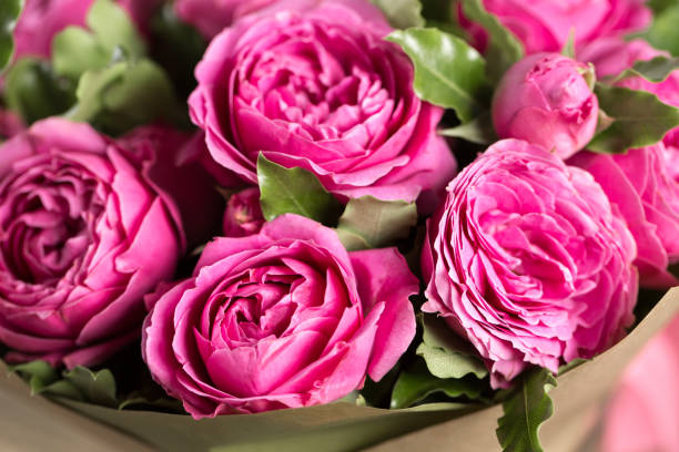 istock Pink peony roses in vase. retro styled photo. 801074472