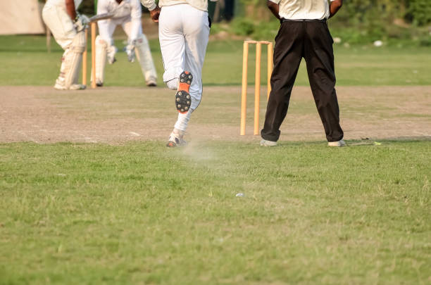 여치 중절모 - cricket bowler 뉴스 사진 이미지