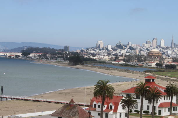 istock San francisco skyline, from chrissy field 801095292