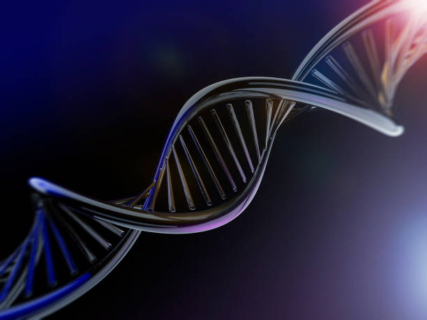 istock Digital illustration of a DNA model. 3D rendering 801095626