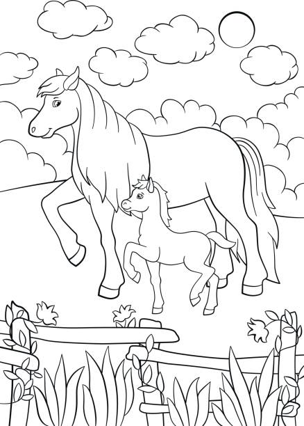 outline_horse03_ Coloring pages. Farm animals. Mother horse walks with her little cute foal on the field. colts stock illustrations