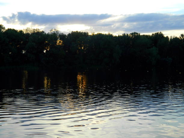 istock Nature summer river and row of trees on the shore view directly 801110862