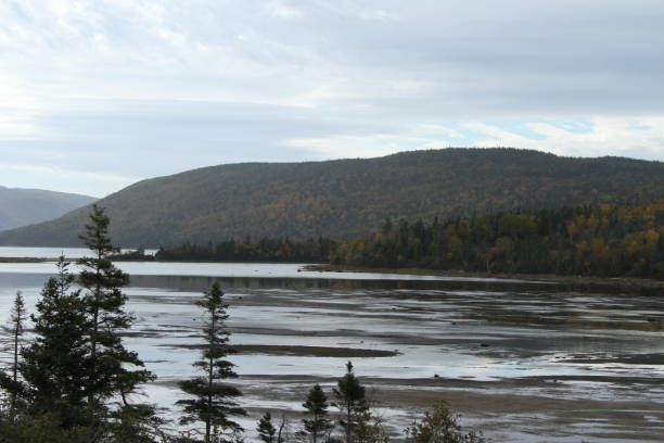 istock Gros Morne national park, Canada 801114578