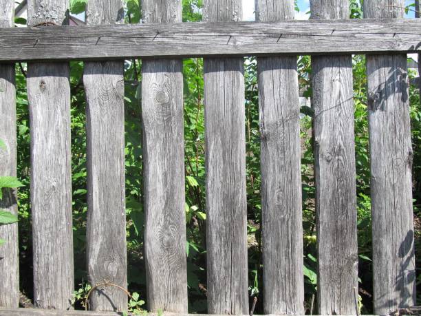 istock Old wooden fence 801116778