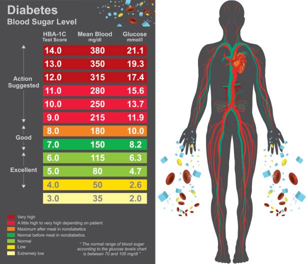 Diabetes chart. Health care info graphic. Vector design. Diabetes chart. Symptoms of high blood sugar include frequent urination, increased thirst, and increased hunger. Education info graphic. Vector design. glucose stock illustrations