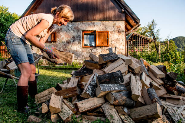 istock Woman Carrying Firewood With Wheelbarrow 801127048