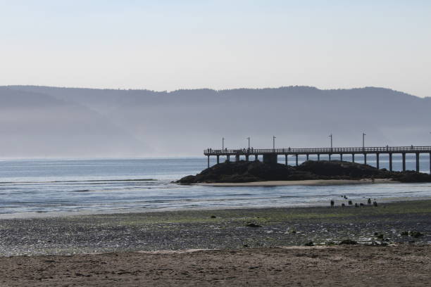 istock Coastline of oregon 801160390