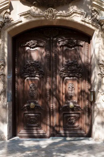 Old door with shadows cast from nearby trees