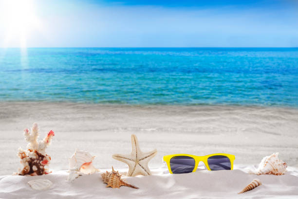 istock Holiday summer, sunglasses, Starfish, seashells,  on seashore - landscape beach background 801181620
