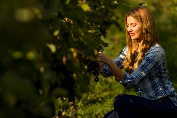 istock Woman in vineyard 801198078