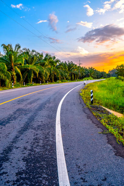 istock Road to early sunset 801198512