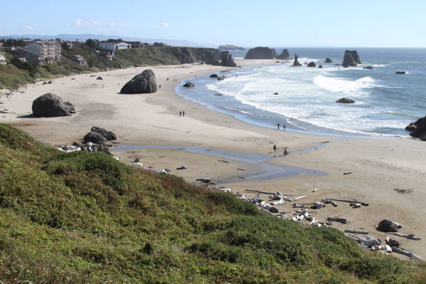 istock Coastline of oregon 801200898