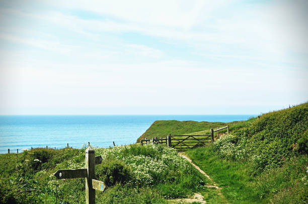 istock Scenic beautiful cliffs and landscape with sea in background in Cornwall 801207056