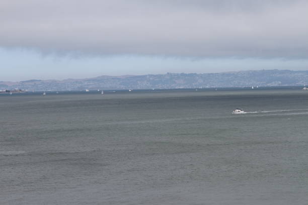 istock San francisco skyline, from chrissy field 801221814