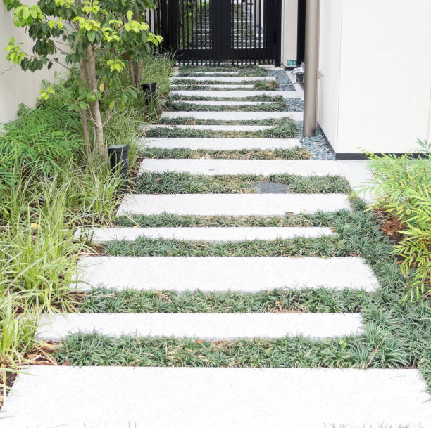 istock Entrance to the house 801227724