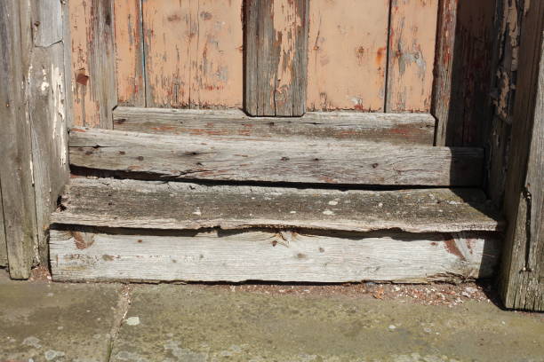 istock Doorstep, rotten old wooden door 801230770