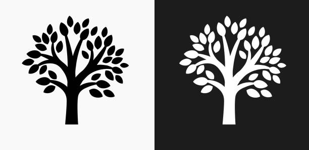 ilustrações, clipart, desenhos animados e ícones de ícone de árvore em preto e branco vector backgrounds - nature black and white leaf black background