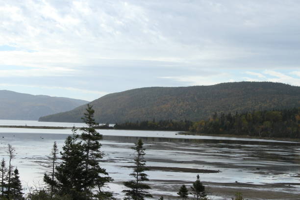 istock Gros Morne national park, Canada 801236524