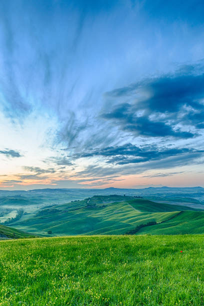 istock Tuscan landscape in the morning light 801249688