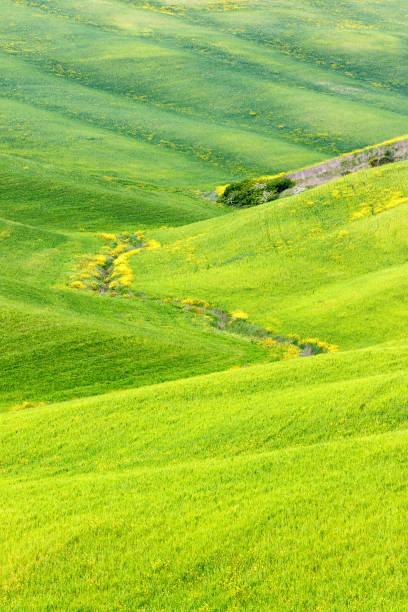 istock Meandering creek in the valley with fields 801252054