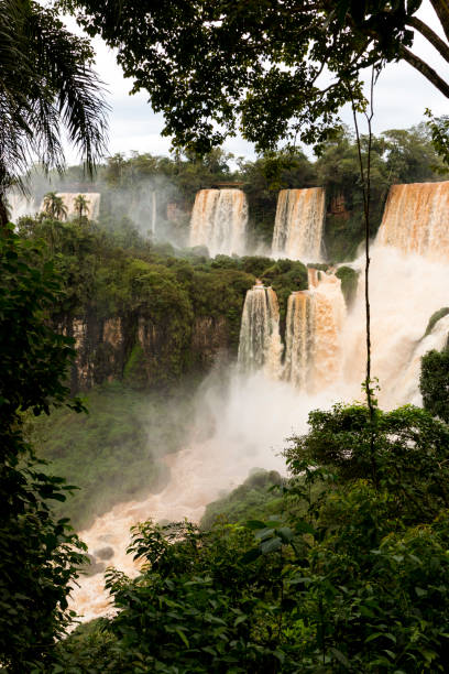 istock iguazu falls veiw from argentina through the trees 801257344