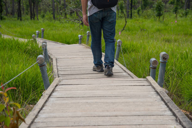 istock A man walking on walkway path to meadow in forest 801266968