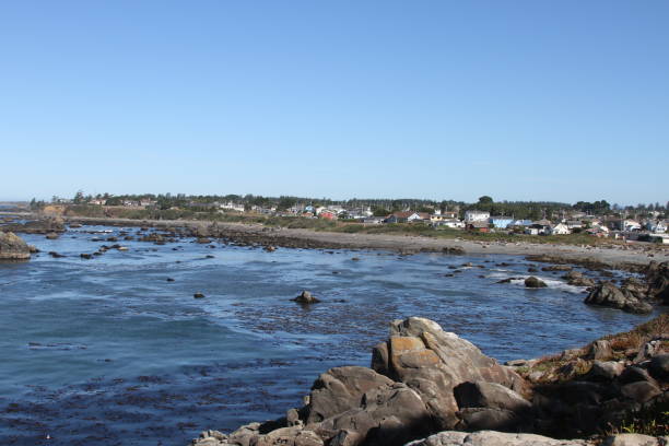 istock Coastline of oregon 801270420