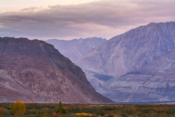 istock Morning in Nubra valley 801273772
