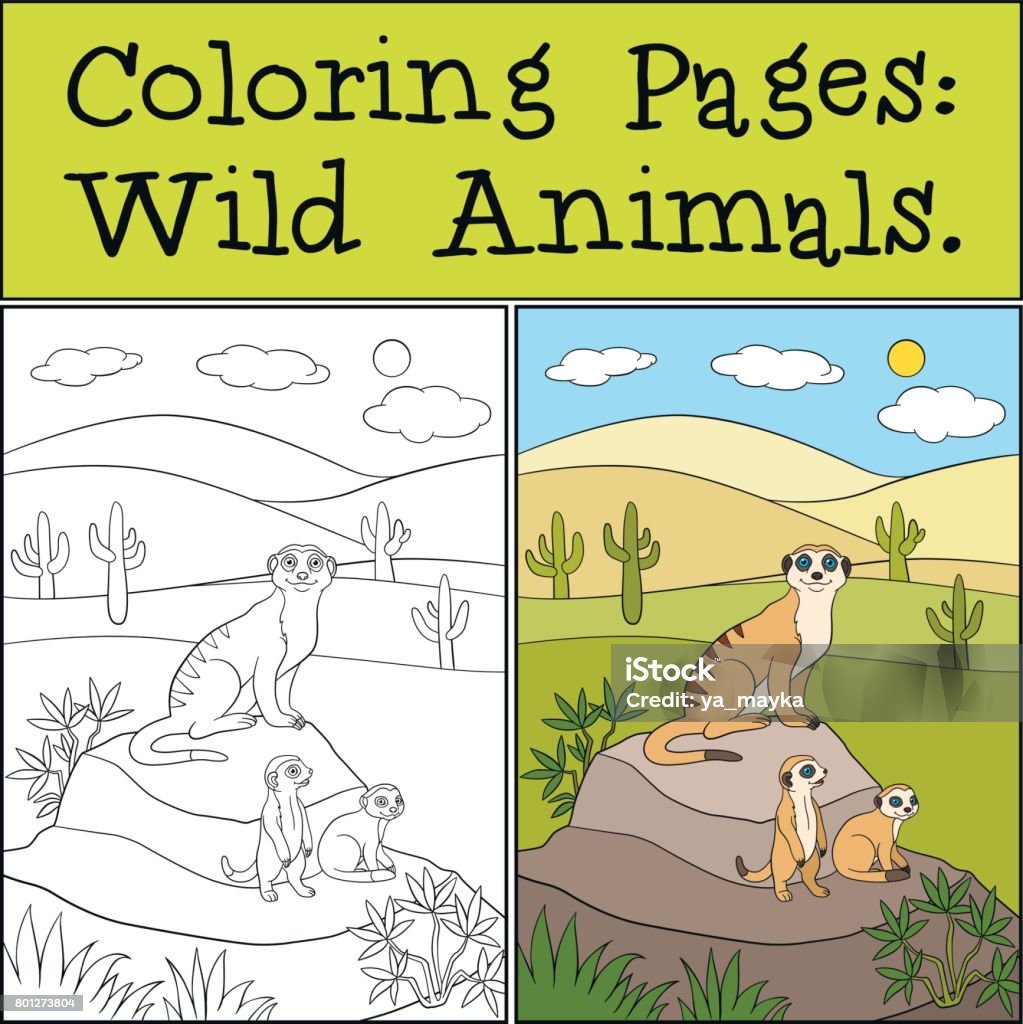 Coloring Pages: Wild Animals. Little cute meerkat smiles. Coloring Pages: Wild Animals. Mother meerkat with her little cute babies on the stone. Africa stock vector
