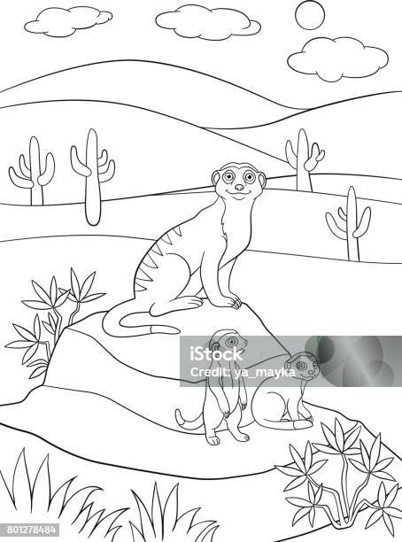 Coloring Pagemeerkat04 Stock Illustration - Download Image Now - Africa, Animal, Book