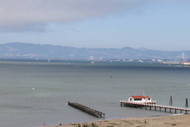 istock San francisco skyline, from chrissy field 801281236