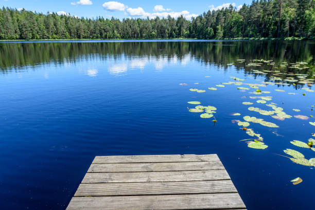 istock reflection of clouds in the lake with boardwalk 801281484
