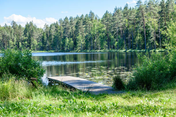 istock reflection of clouds in the lake with boardwalk 801281514